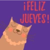 Lunes a viernes  9