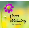 Good morning 32