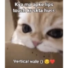 Kya ma apke lips touch kr skta hu<< Vertical wale ()