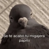 Memes 3.0🫆🧿 18