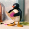 Pingu apaixonado 💕 8
