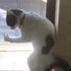 Memes cute 2😎 18