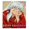 Inuyasha 14