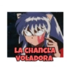 Inuyasha 29