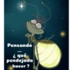 Variados 06 18
