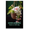Good morning 29