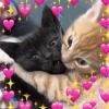 💞💖 AMOR 6 💖💞 21