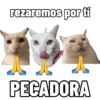 Michis caóticos ⚡😼⚡ 5