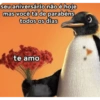 Para os românticos 🥰❤️💖 6