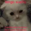 engo sue o (menti sólo ns como decir como me siento)