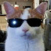 Shitpost 18