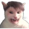 geysioy
