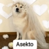 Asekto