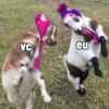 VC eu