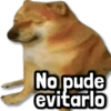 No pude evitarlo