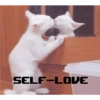 Animals 5