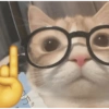 Memes randoms ❣️💯💥 8