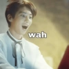 Meme kpop 15