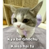Cat love 6