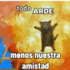 todo ARDE menos nuestra amistad