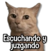 Escuchando y juzgando
