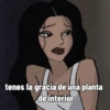 tenes la gracia de una planta de interior