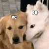 VC eu