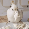 Calopsita Fofa Reações 🦜 15