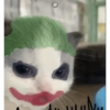 Gatos coringa 17