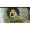 Cheems 6