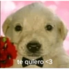 Te amo mi bida  15
