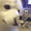 eu VC