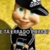 E TÁ ERRADO PORRA?