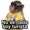 Memes Changuitos🐒 13