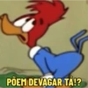 Memes do Pica-Pau  11