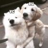 VC eu