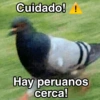 Cuidado! ! Hay peruanos cerca!