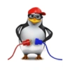 Pinguim 9