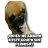 ¿QUIÉN ME AÑADIÓ A ESTE GRUPO SIN PERMISO?