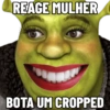 SHREK DIFERENCIADO 🤣 11