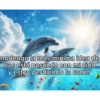 DELFINES UNICORNIO TREND 7