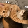 VC eu