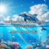 Algo Random 3👽👾 6