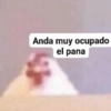 Animales Random 2🌸💥 29