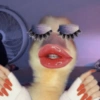 Pato | duck 🦆 10