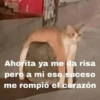 👂🏻chismesito time 🕰️ 12