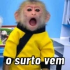 Macaquinhos reativos 🐒 9