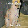 Happy birthday  21