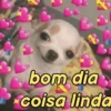bom dia coisa linda
