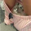 Котята 🔥🔥 5